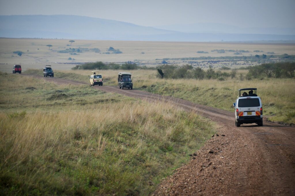Ultimate Serengeti Safari Vehicles Guide