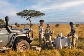 serengeti safari guide