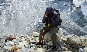 mount meru flora and fauna