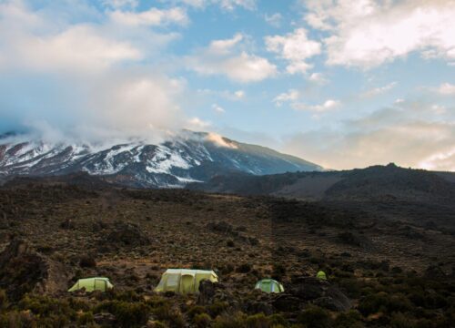 8 Days Climbing Mt. Kilimanjaro Lemosho route