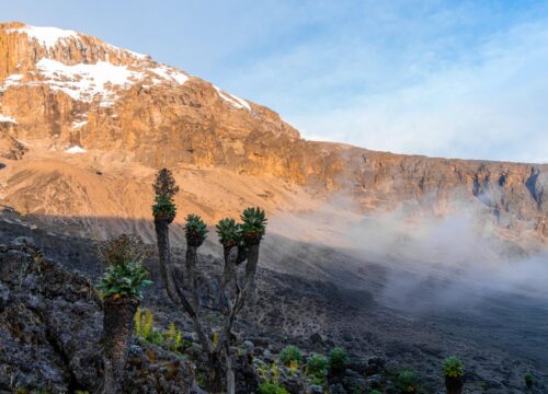 7-Day Kilimanjaro Trekking – Lemosho Route