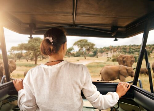 Responsible tourism in Tanzania (2026)