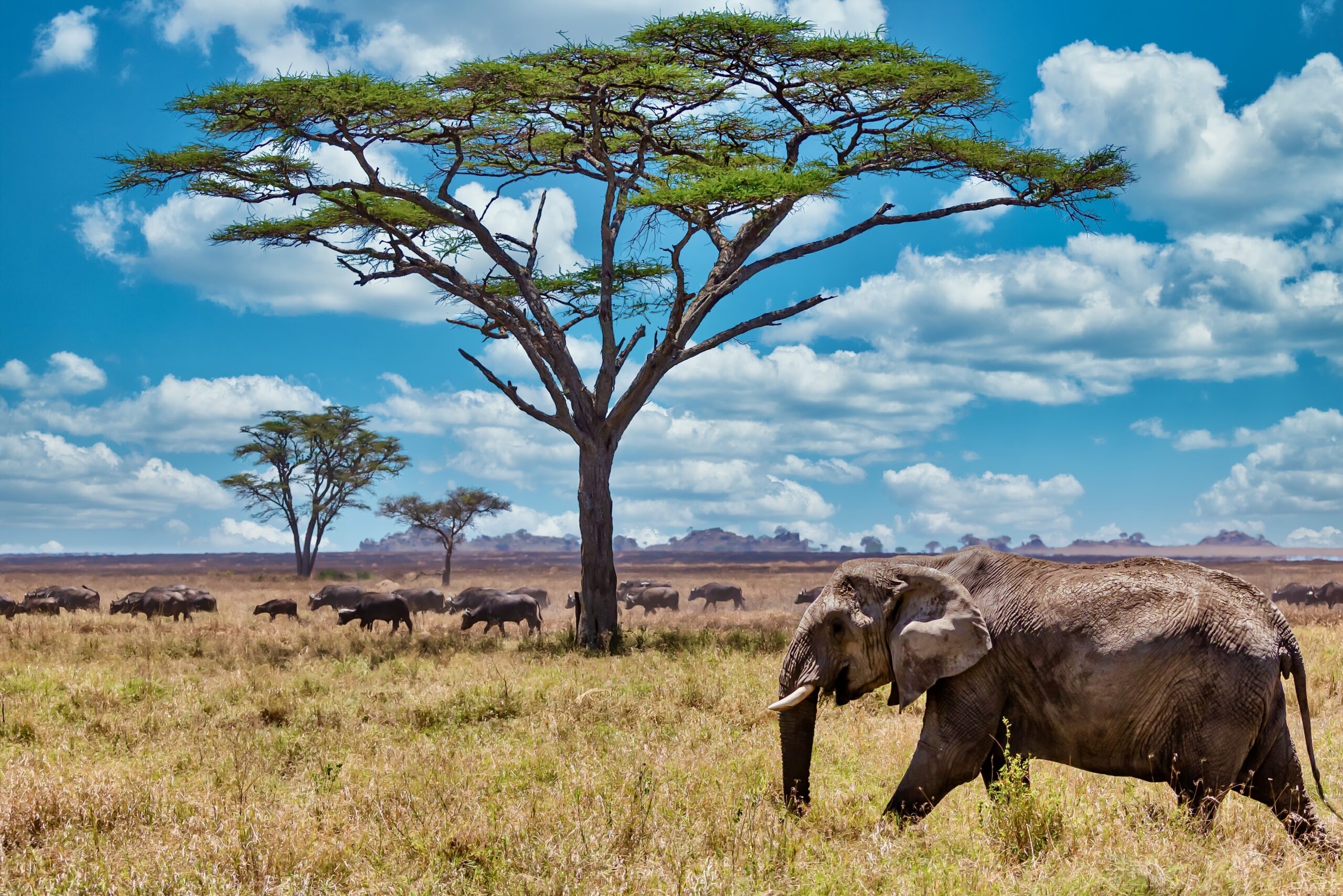 best time to visit Tanzania