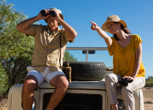 Top Reasons to Visit Tanzania for Safari Experience (2026)