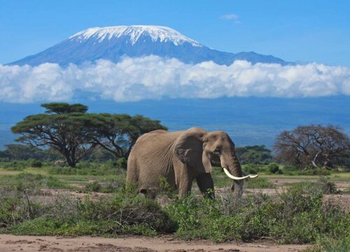 The Best Route to Climb Mount Kilimanjaro – Complete Expert Guide (2026)