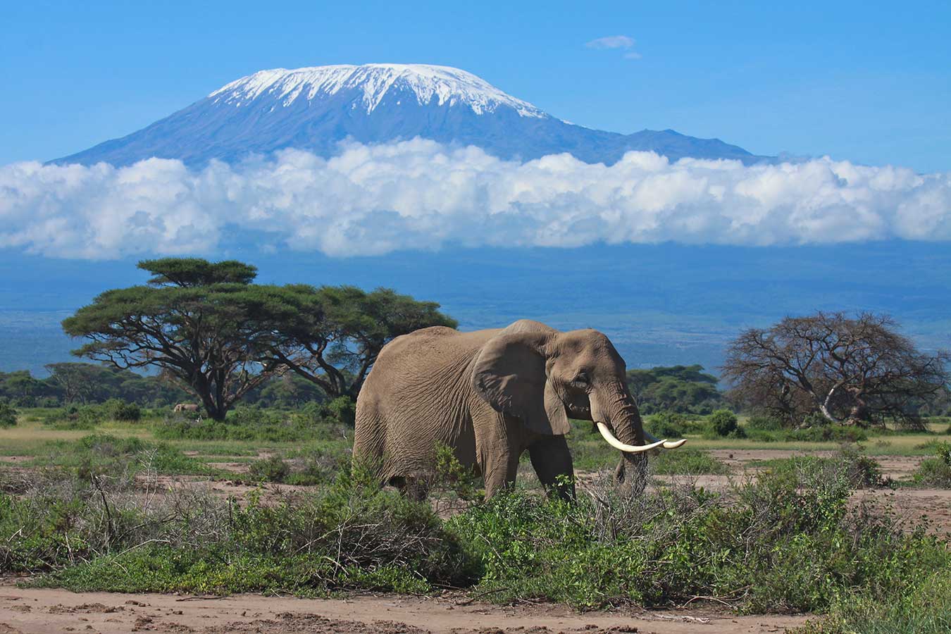 The Best Route to Climb Mount Kilimanjaro