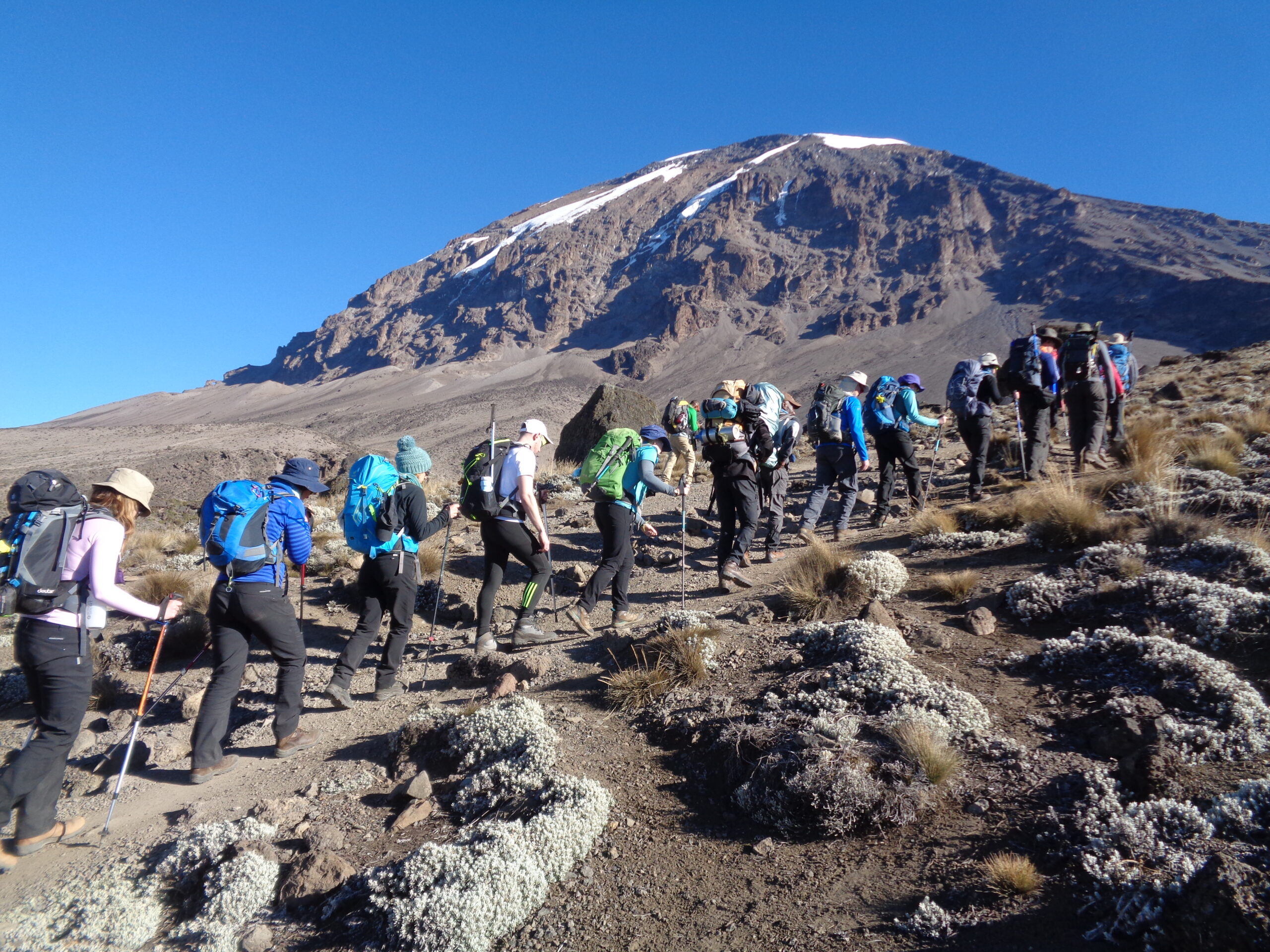 Kilimanjaro climb guide for Americans