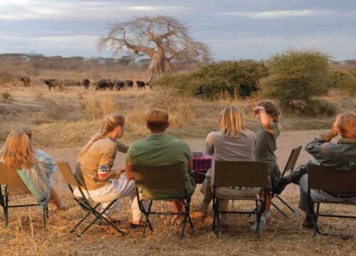 Ruaha National Park: The Ultimate Guide to Tanzania’s Wildest Safari Destination