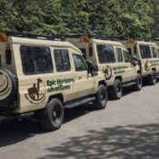 Ultimate Serengeti Safari Vehicles Guide