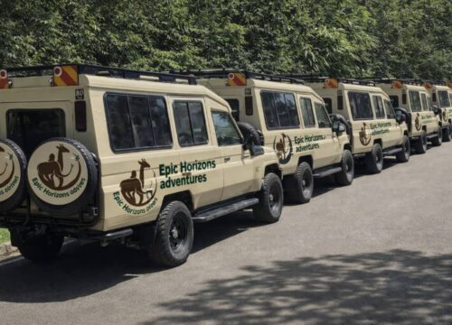 Ultimate Serengeti Safari Vehicles Guide (2026)