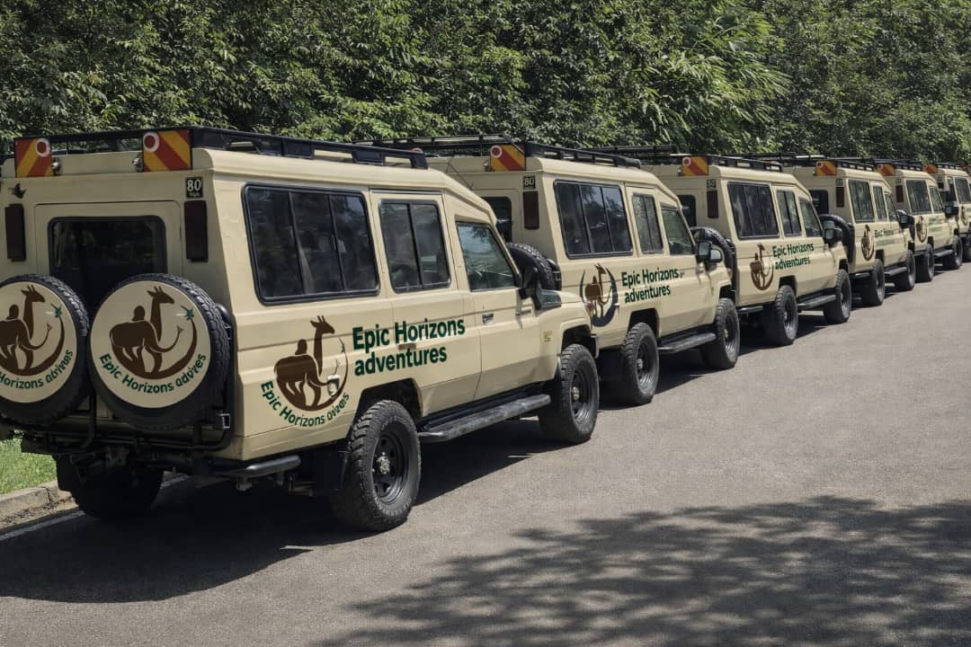 Ultimate Serengeti Safari Vehicles Guide