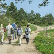 best day trips in Serengeti