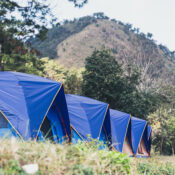 Serengeti Camping Experience