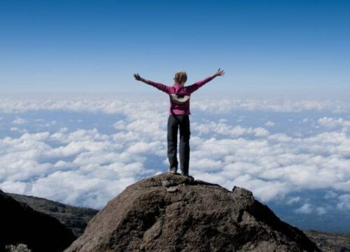 Mount meru flora and fauna (2026)