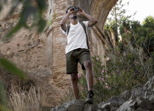 Best Tarangire day trips guide (2026)