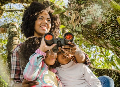 Serengeti for family tips (2026)