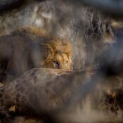 best Tarangire travel tips