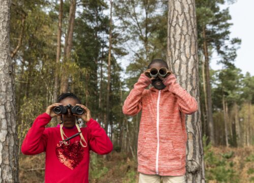 Best Tanzania Walking Safari Experience: The Ultimate Guide to Africa’s Most Immersive Wildlife Adventure (2026)