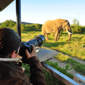 Best Tarangire Safari Highlights