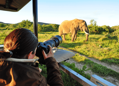 Best Tanzania photographic safari Adventure (2026)