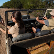 Ultimate Serengeti Safari Vehicles Guide