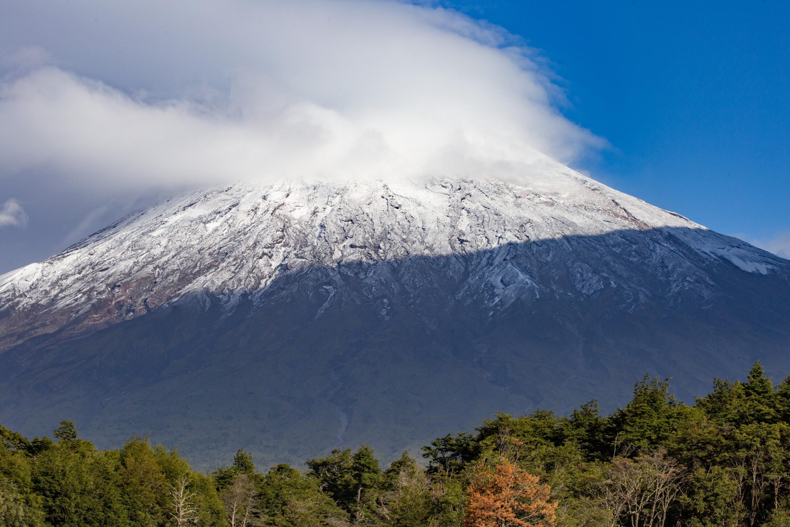 The Ultimate Guide to Traveling and Climbing Mount Kilimanjaro