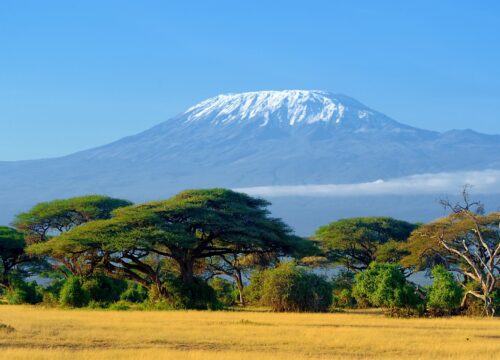 Best Rongai Route 2026/2027