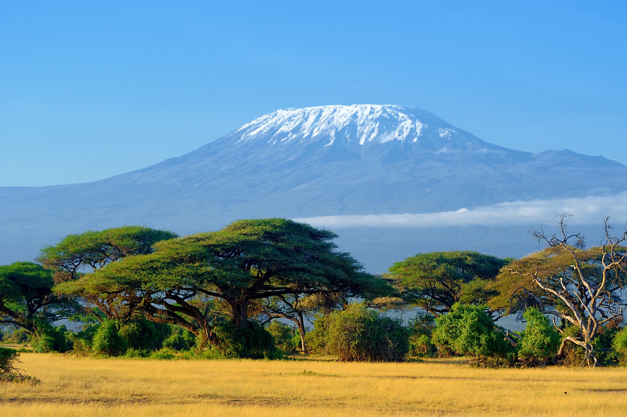 Best Rongai Route 2026/2027