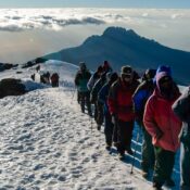 Best Lemosho Route Kilimanjaro Guide 2026/2027  