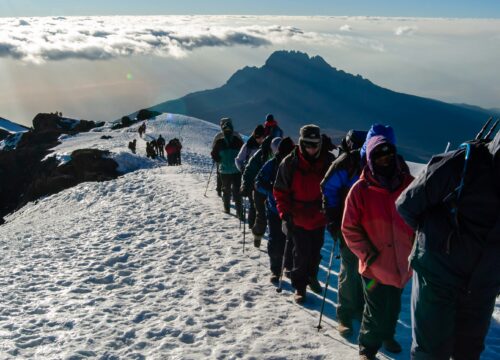 Best Lemosho Route Kilimanjaro Guide 2026/2027  