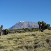 BEST 5 DAYS KILIMANJARO CLIMBING UMBWE ROUTE IN TANZANIA