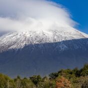Best Kilimanjaro Trekking in 2026/2027