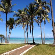 How to Choose the Best Family Safari Camps in Zanzibar and Tanzania: A Parent-Friendly Guide