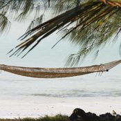 ULTIMATE TANZANIA WILDLIFE SAFARI AND ZANZIBAR BEACH ESCAPE (2026–2028)