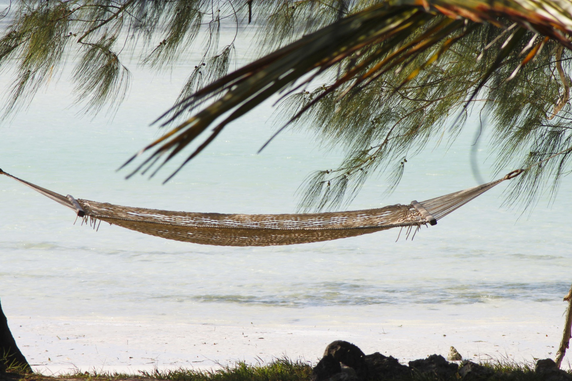 ULTIMATE TANZANIA WILDLIFE SAFARI AND ZANZIBAR BEACH ESCAPE (2026–2028)