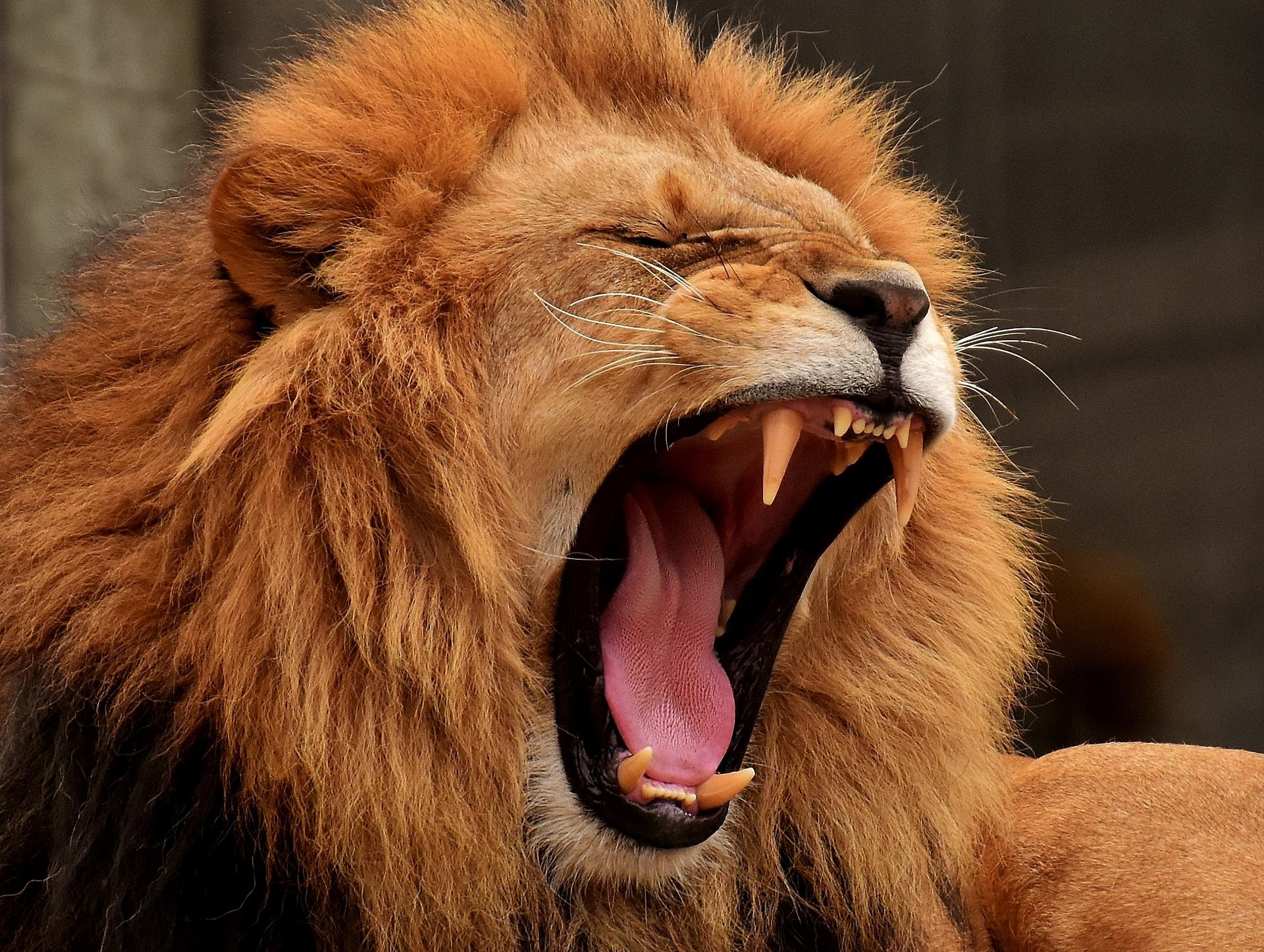 BEST 3 DAYS TANZANIA SHARING GROUP JOINING SAFARI 2026/2027